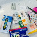 떳다야식 | 1월 4주신혼일기 설 연휴 전 쀼일상