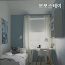 모모스테이
