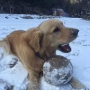 하늘아래 첫동네 꿩밭 이미지