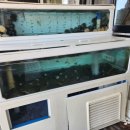 온다ONDA, 동해 이미지