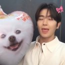 김태우 | 더보이즈 현재 whoop 영통 응모방법&amp;후기(+김태우, 생일)