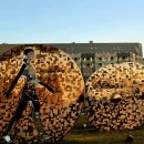 가로행정사사무소 이미지