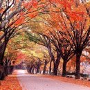 신반포주유소 이미지