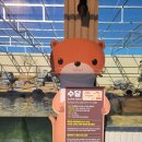 중앙탑공원 야외화장실 이미지