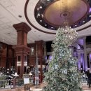 펠리스스낵 이미지