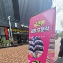 금은애김밥앤분식
