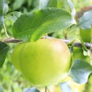 승진농장 이미지