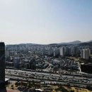 토월체육공원 이미지