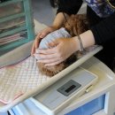 하이펫동물병원 이미지