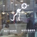 제갈견동물병원