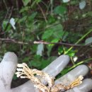 비흥농장 이미지