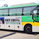 주식회사금아여행 이미지