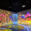 제주교육박물관 | [박물관] 국립 제주 박물관 방문 후기 / 11월 28일(금) 어린이 박물관 재개관