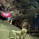 온천천일대7 이미지