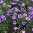 여미지식물원 이미지