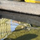 참샘골가든횟집 이미지