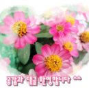 영신에스엠 네이버블로그