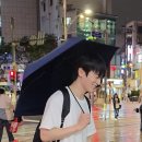 연극 <회란기> | 260625 연극 <마트료시카> 후기