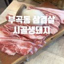 시골생돼지