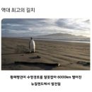 오토오아시스 수지풍덕천점 | [풍덕천자동차운전전문학원] 뚜벅이 탈출기 2탄! / 장내기능시험 후기, 그 결과는?