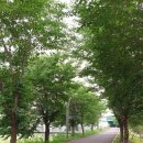 용암천1 이미지