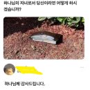 싫은 것도 싫지 않아야 어른이 되지