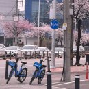 신갈편한한의원 | 4월의 기록 / 5월 어서 와🌷