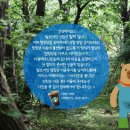발트아인 카페 | 발트아인 캠핑장 후기 이벤트~!!
