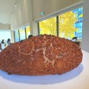 만년남로 | 뚜레쥬르 신상 고구마 누룽지 가격 만년동 카페추천