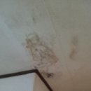 럭키무지개타운 이미지