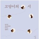 700160 이미지