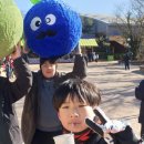 합기도 LG 무림관 이미지