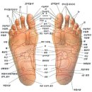 육장인 - 시흥시 수인로3409번길 57 | 육장인
