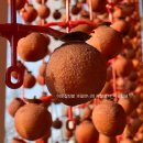 동경농장 | 두쫀쿠 보다 맛있는! 완주 대둔산 흑곶감 설 선물세트 농장 직송 주문 방법 + 후기까지