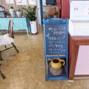 사교길12.6