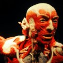 달안동-2 이미지