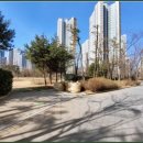 인천별빛초등학교 네이버블로그