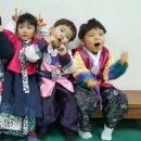 삼일어린이집 Daum카페