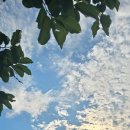 도전자네 농장 이미지