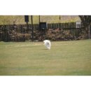 비쥬폼코리아 이미지