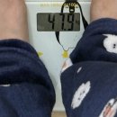 예쁜똥배 | 일주일 다이어트 꿀팁 똥배 빼는법 2kg 뺀 후기