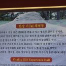 산청에가면