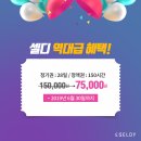셀디스터디카페광양
