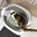 백설공주와 겁많은 호랑이 | 고양이 자동화장실 오픈형 페테토 M1 Plus 무상 A/S 1년 가능!
