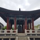 티씨지트레이서즈 이미지