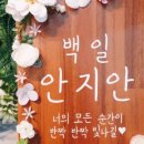 꽃다락 - 서산시 중앙로 102 | 꽃다락