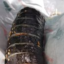 한턱김밥 이미지