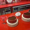 온천단지 가로수길 이미지