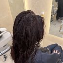 자양미용실 | 건대미용실 플랜에이치 자양역점 가성비 좋은 헤어컷 후기
