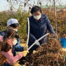 계양농장 이미지